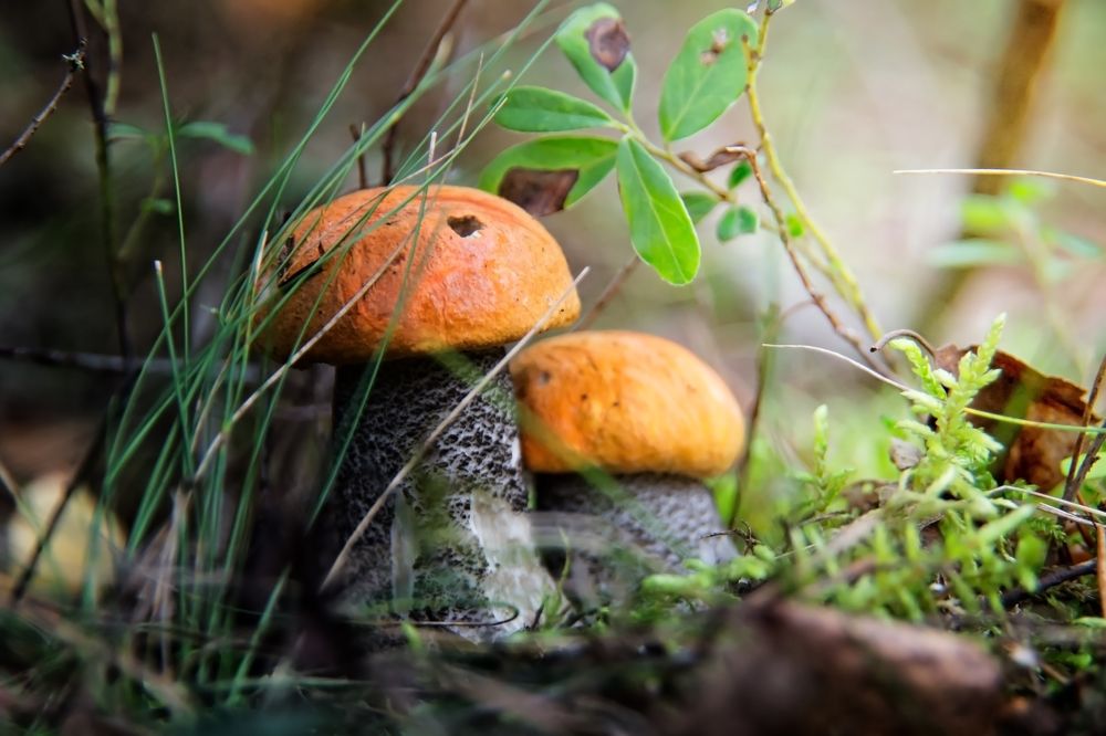 Фотография автора Юлия Кранина