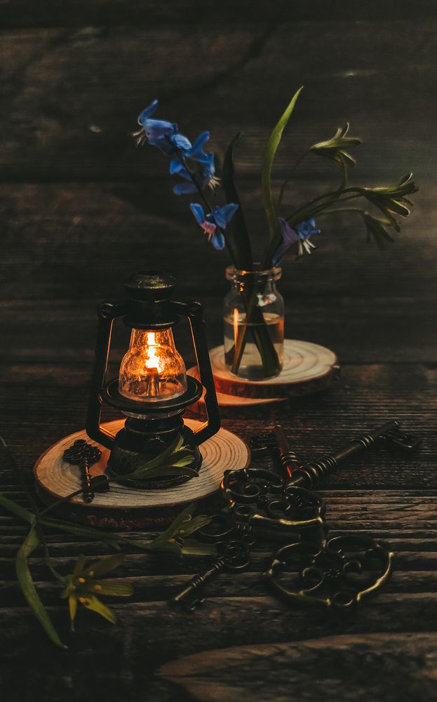 Фотография автора Марина Алексеевская