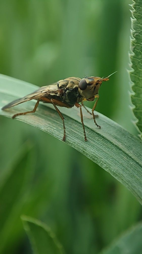 Photograph by Sherko Bahmani