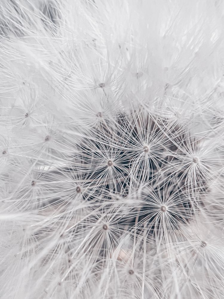 Photograph by Ganna Lobodenko