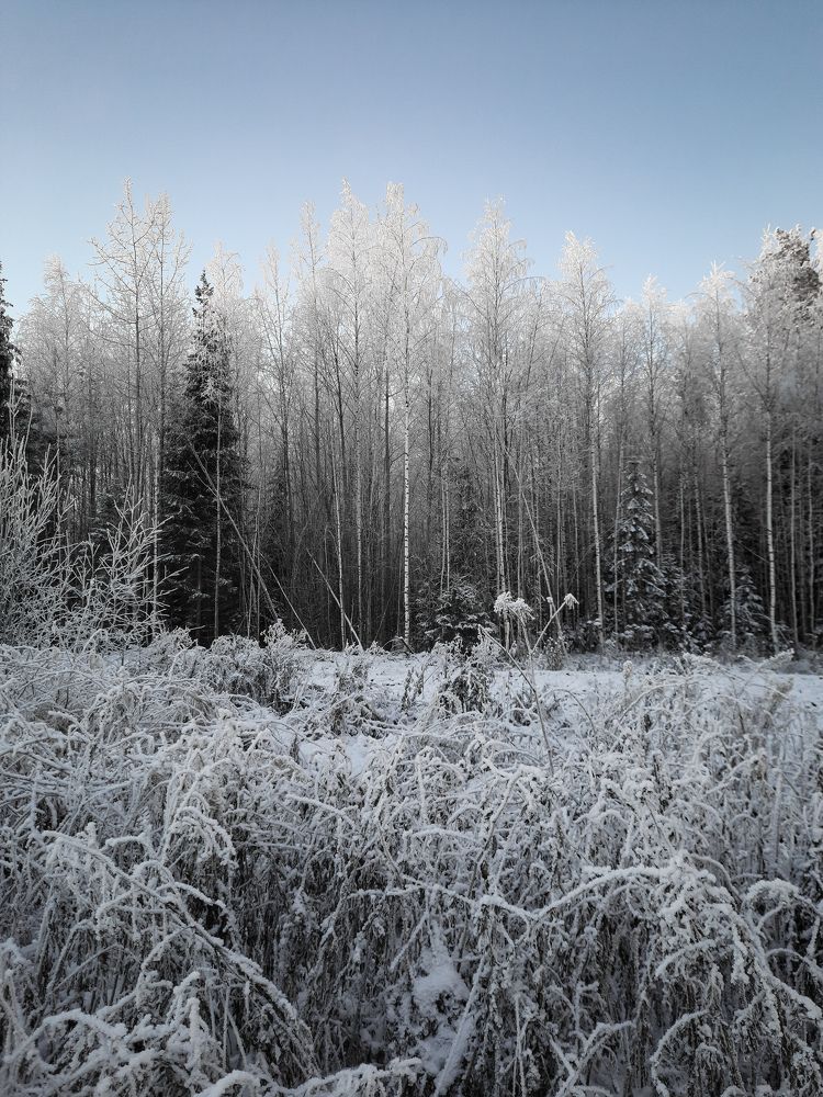 Photograph by Романов Роман