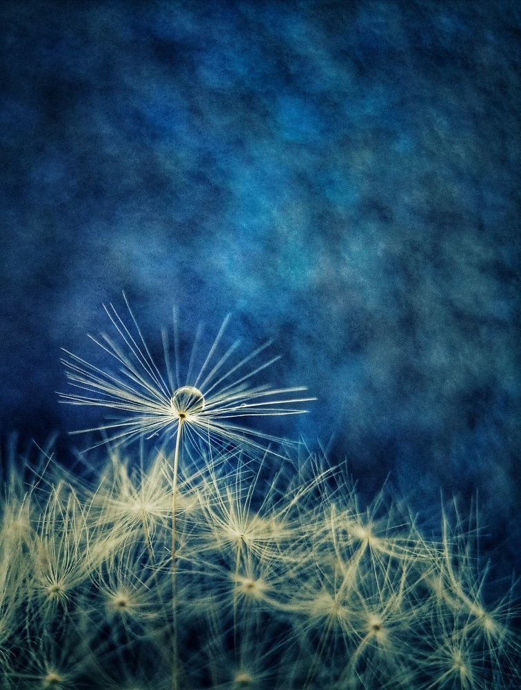 Фотография автора НАТАЛЬЯ СЕВЕР