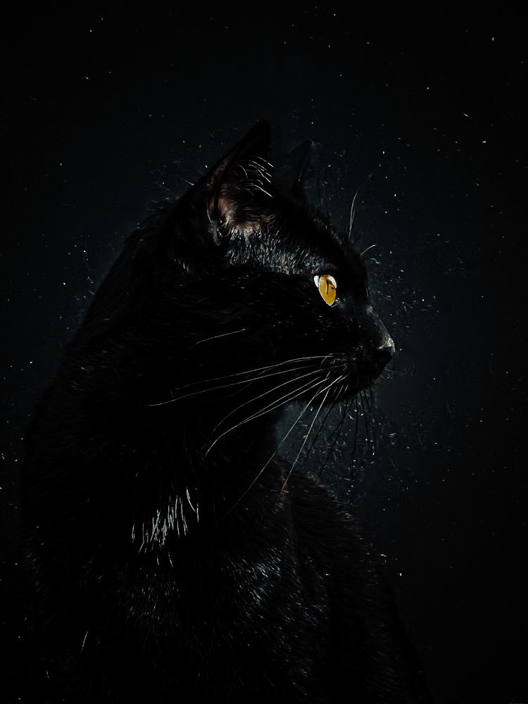 Photograph by Ganna Lobodenko