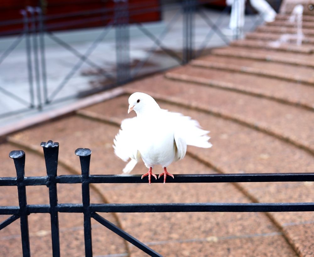 Photograph by Наталья Казачок