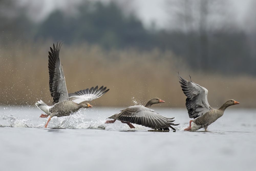 Photograph by Piotr Socha