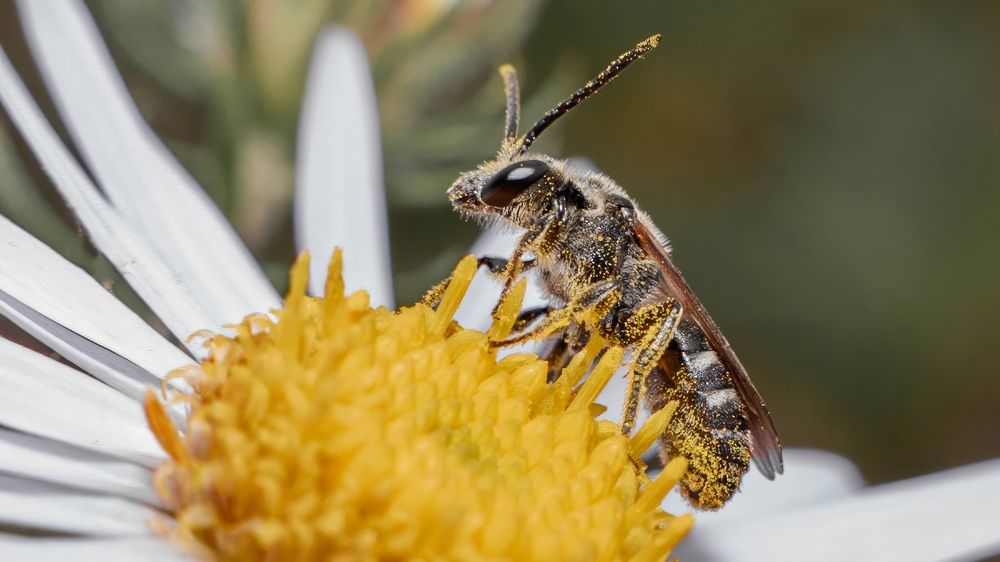 Photograph by Игорь Иванов