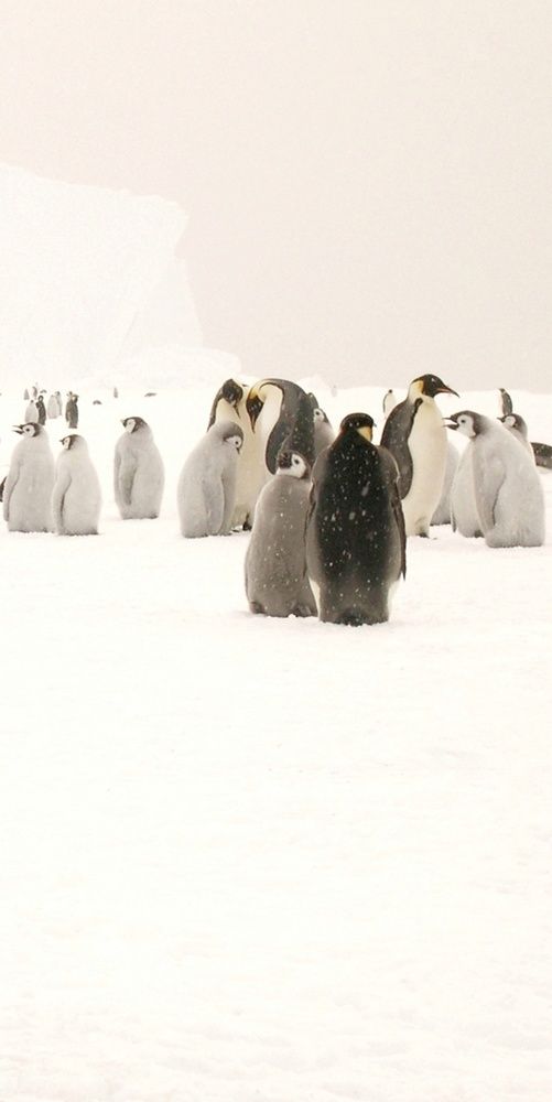 Фотография автора НАТАЛЬЯ СЕВЕР