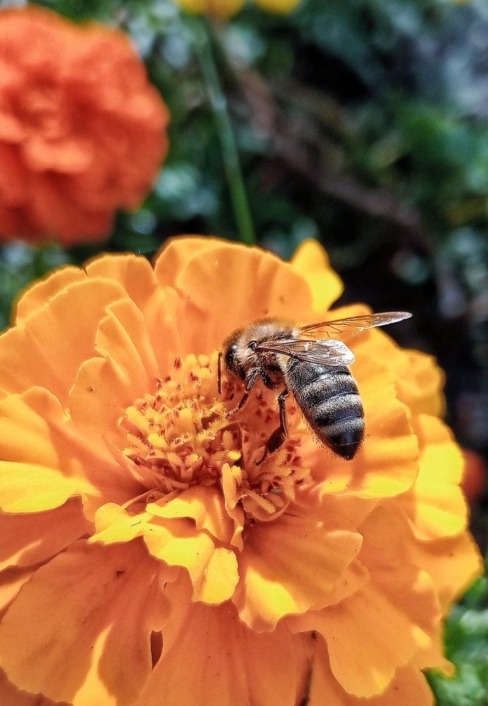 Photograph by Владимир Сушкин