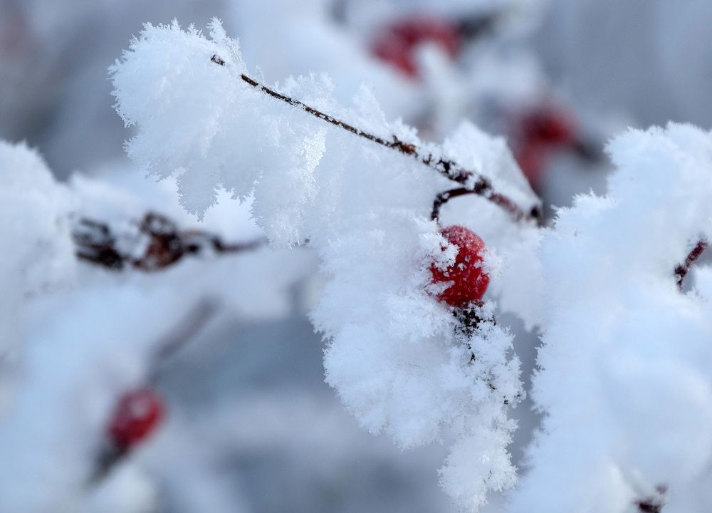 Фотография автора Наталья Липовская