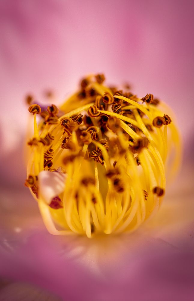 Photograph by María Paula Lozano