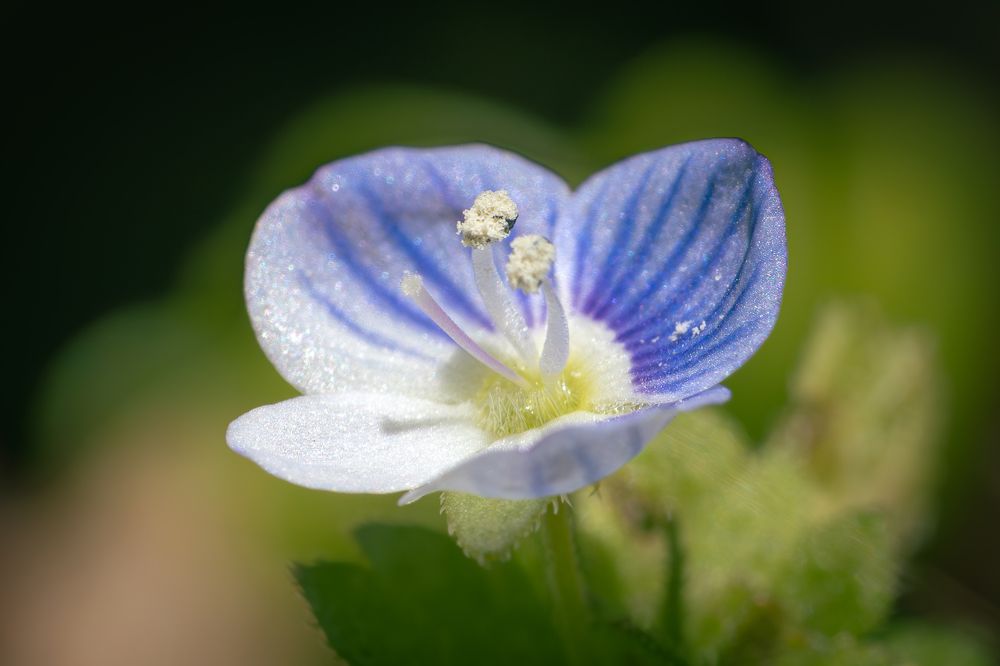 Photograph by María Paula Lozano