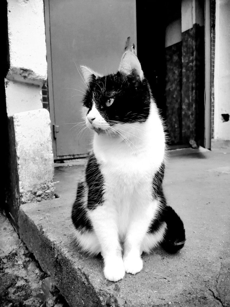 Photograph by Мария