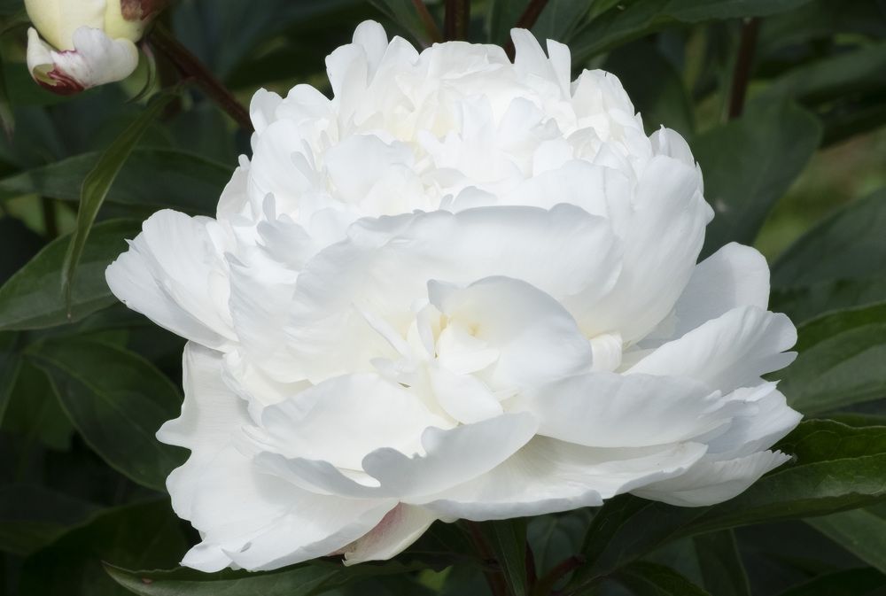 Фотография автора Наталья Липовская