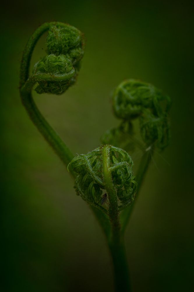 Photograph by Денис Дорошенко