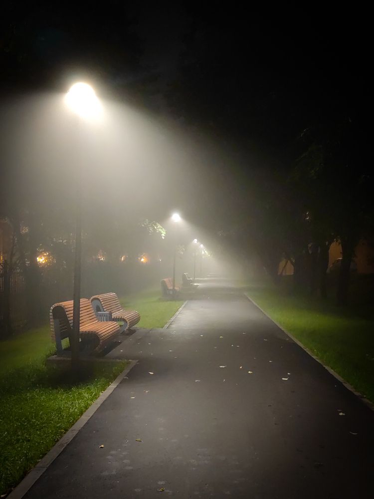 Photograph by Надежда Барышева