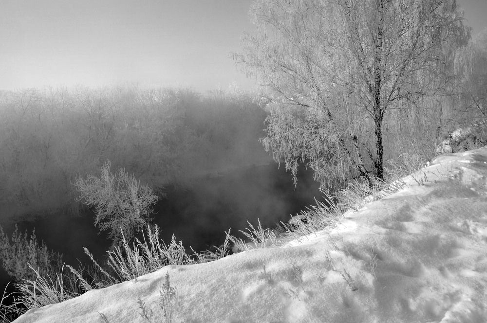 Photograph by Мишустина Татьяна