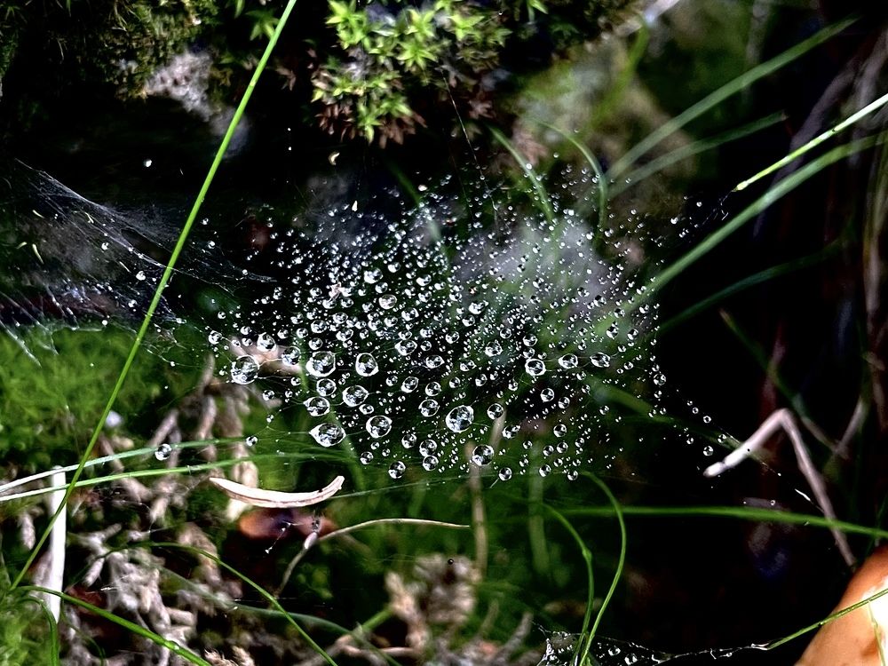 Photograph by Ольга Унутова( Виноградова)