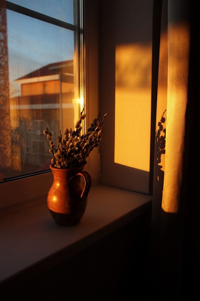 Фотография автора Наталья Боярина