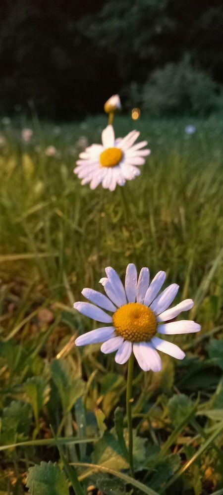 Photograph by Шевченко Алексей