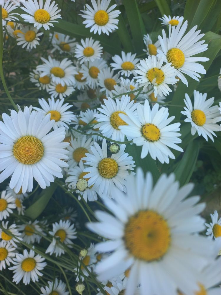 Photograph by Екатерина Пенежина