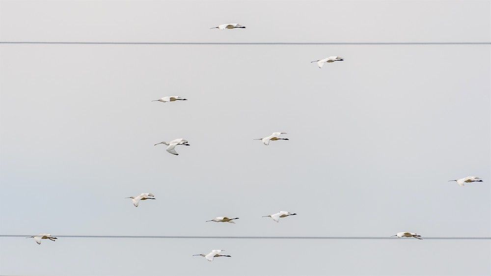 Photograph by константин