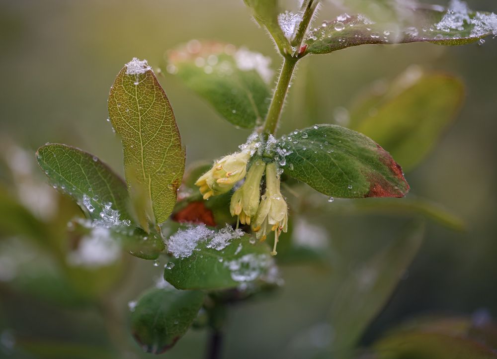 Photograph by Зеленько Дмитрий