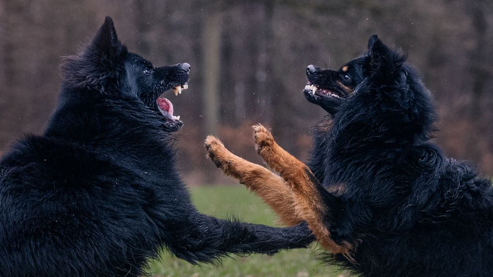 Фотография автора Christian Kieffer