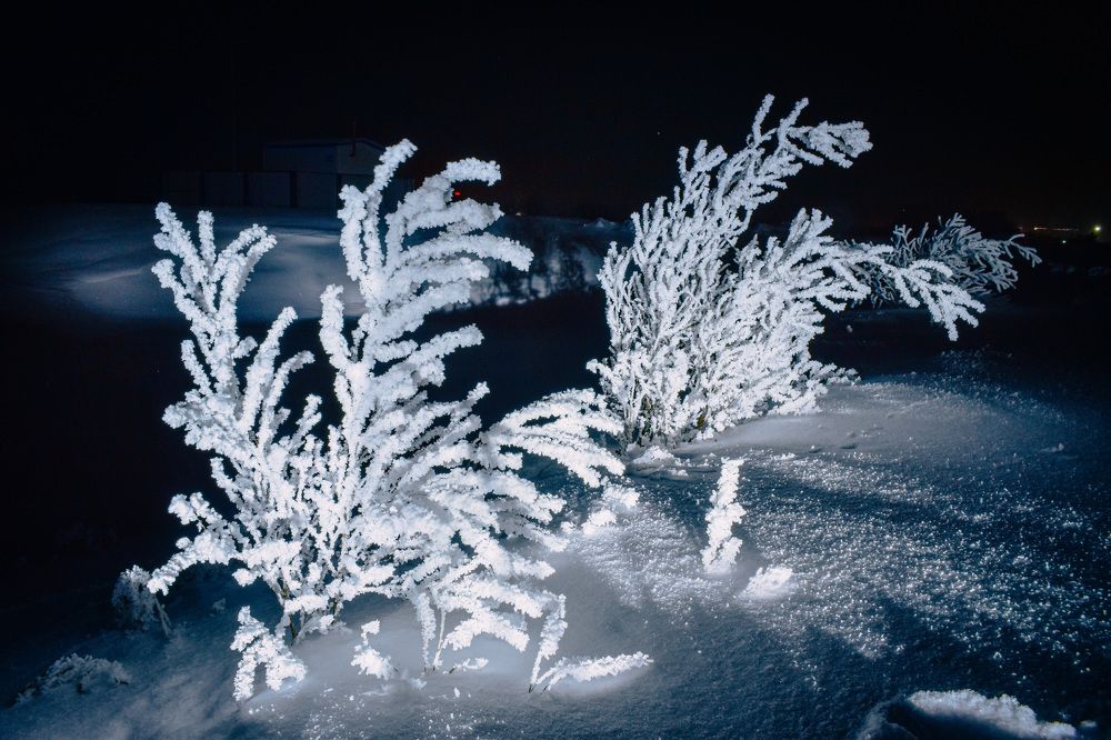 Photograph by Ксения Маленкова