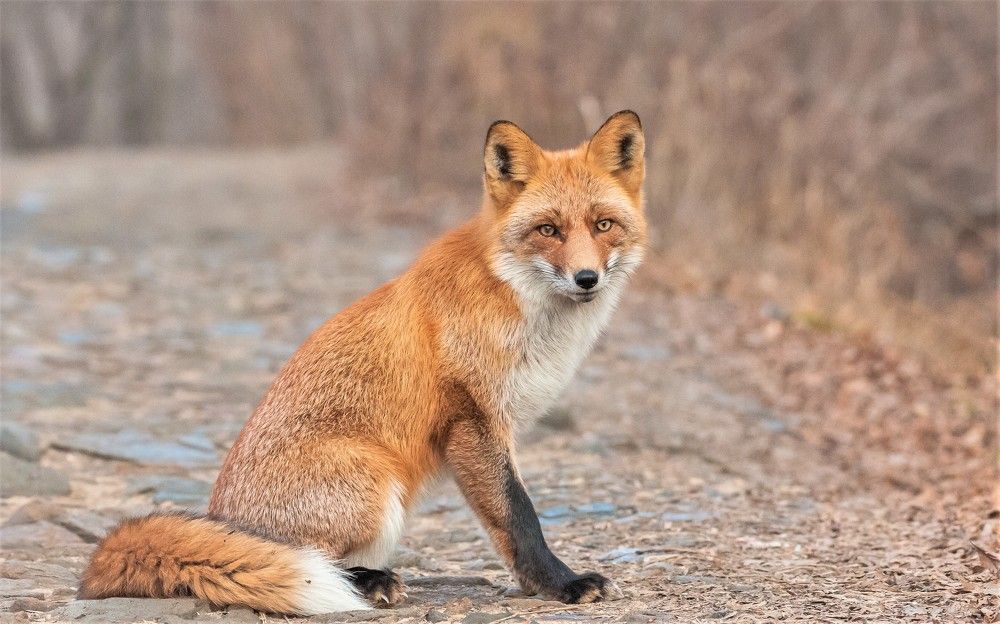 Photograph by константин