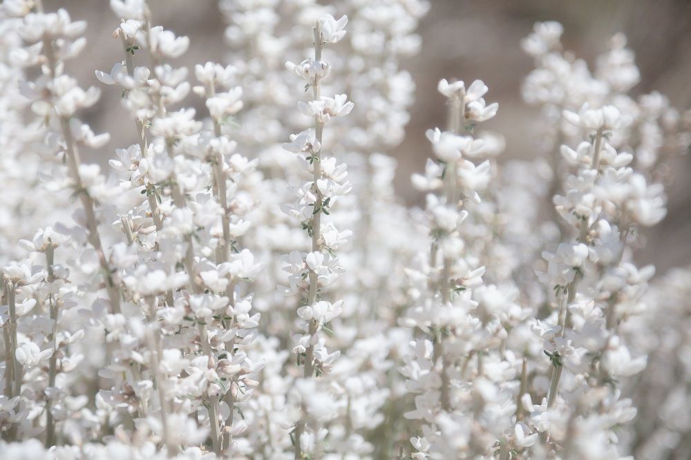 Фотография автора Anne Gabrielle Mougin