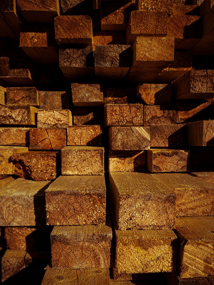 Photograph by Валерия Спирина