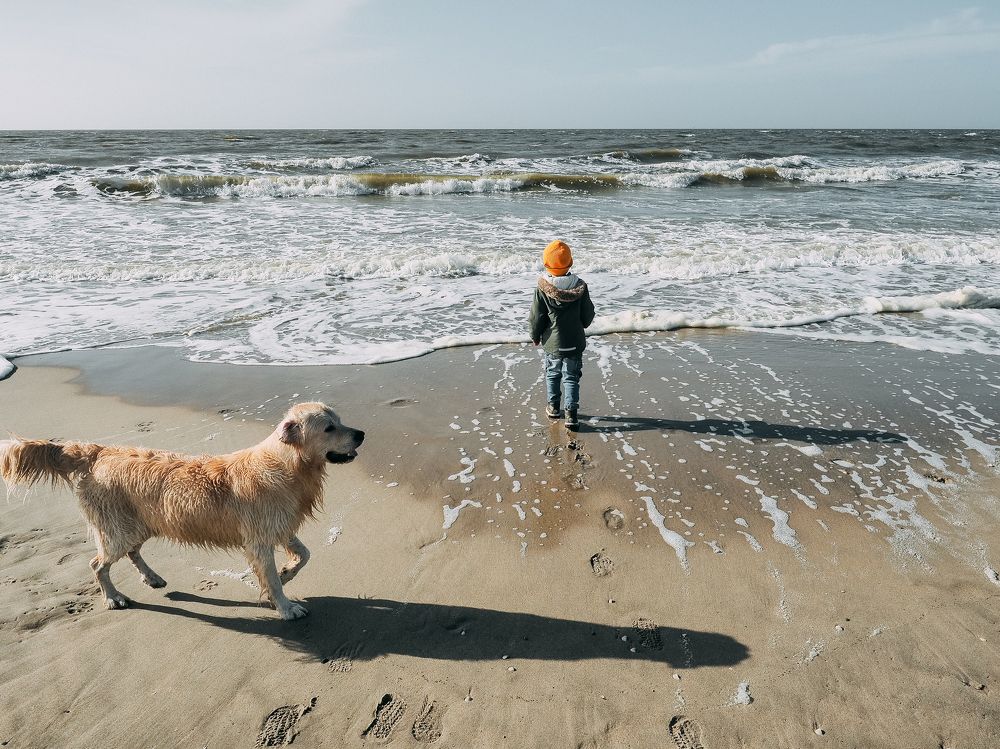 Photograph by Ирина Протченко