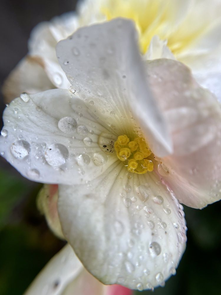 Photograph by Татьяна Раковская