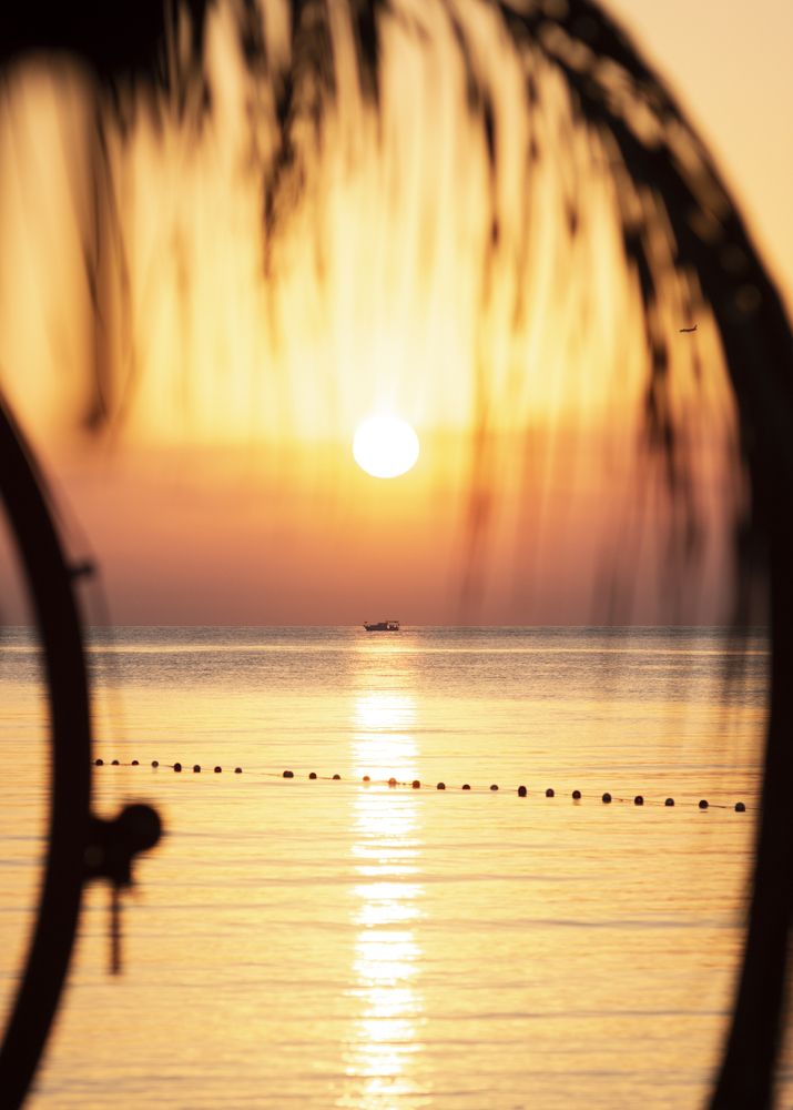 Photograph by Евгения Шулакова