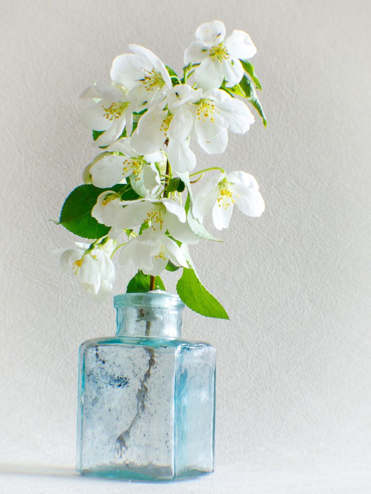 Photograph by Людмила Аксенова