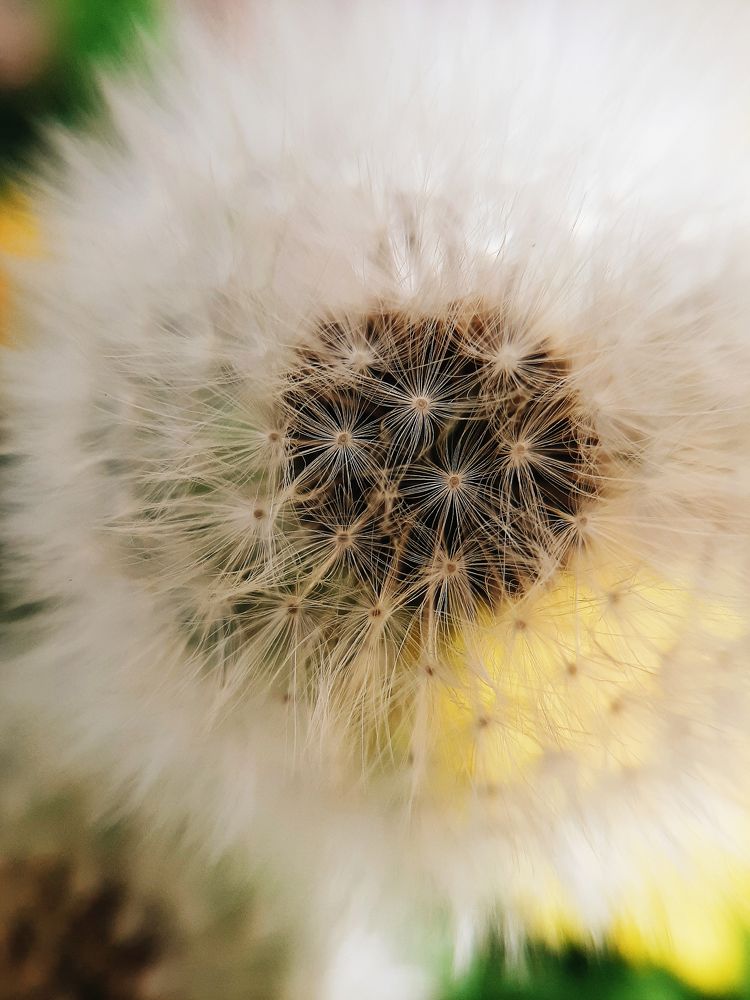 Фотография автора Виктория Мешкова