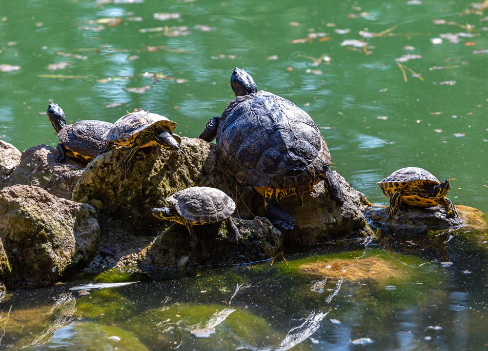 Фотография автора Людмила Прокофьева