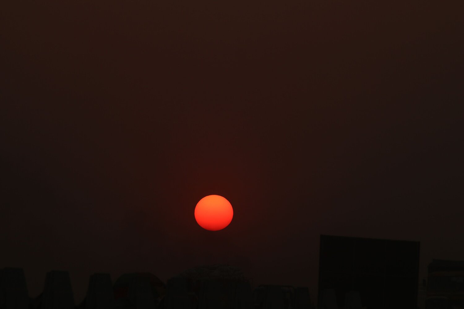 Photo #9498819
