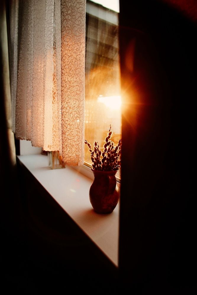 Фотография автора Наталья Боярина