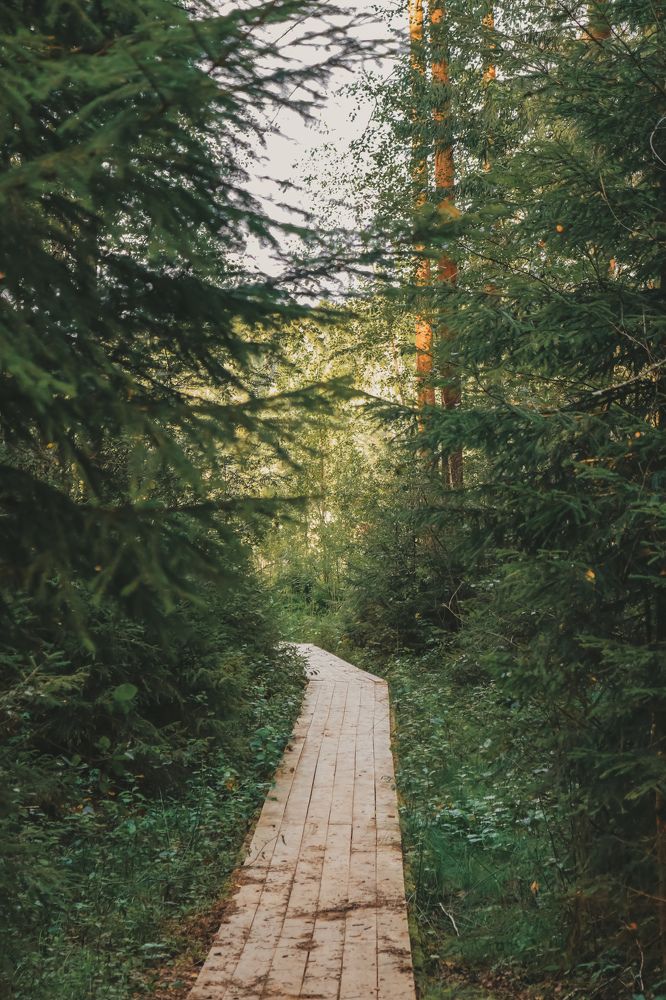 Photograph by Наталья Клячина