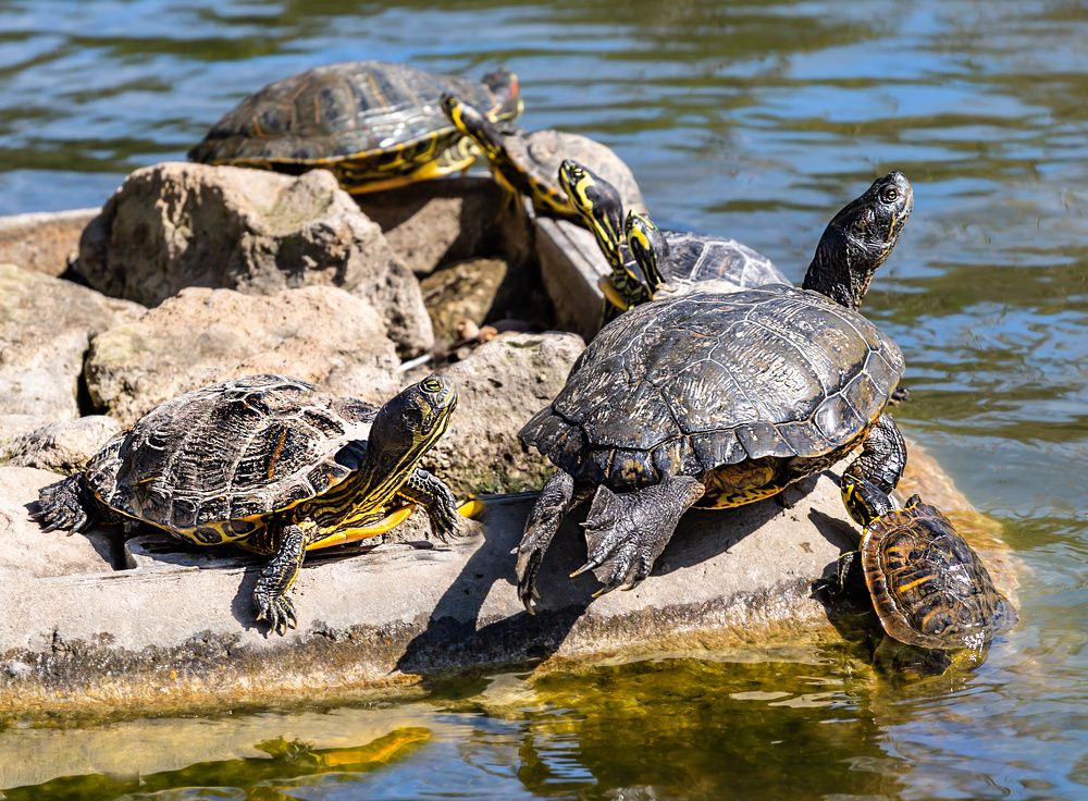 Фотография автора Людмила Прокофьева