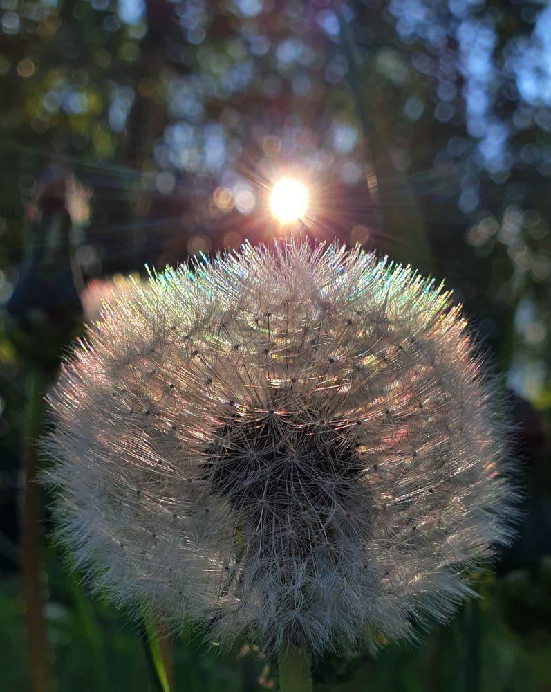 Photograph by Татьяна Мельникова