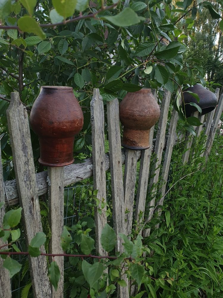 Фотография автора Наталия