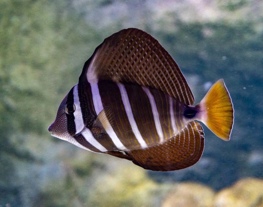 Photograph by Ineta Osipoviča