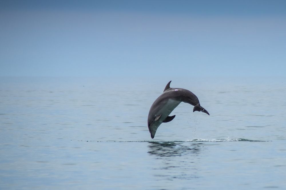 Photograph by Павел Одинец
