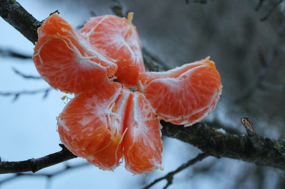 Photograph by Инна Карасева