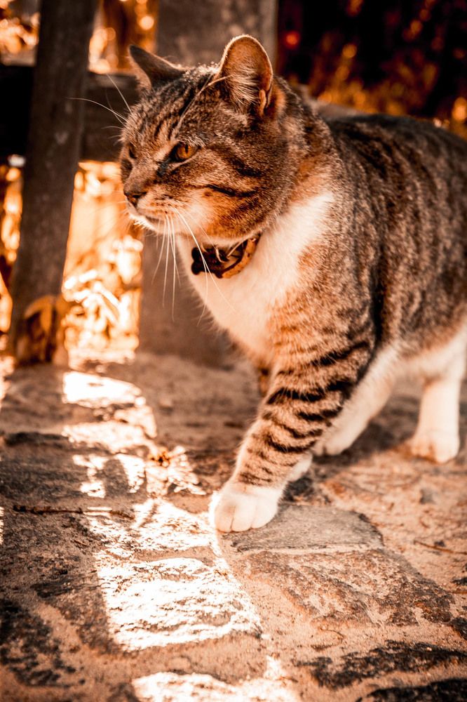 Photograph by Ineta Osipoviča