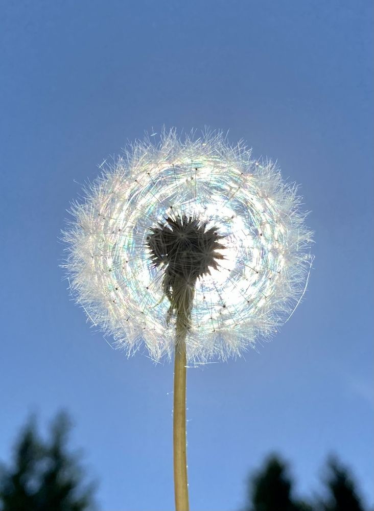 Photograph by Екатерина Антонова