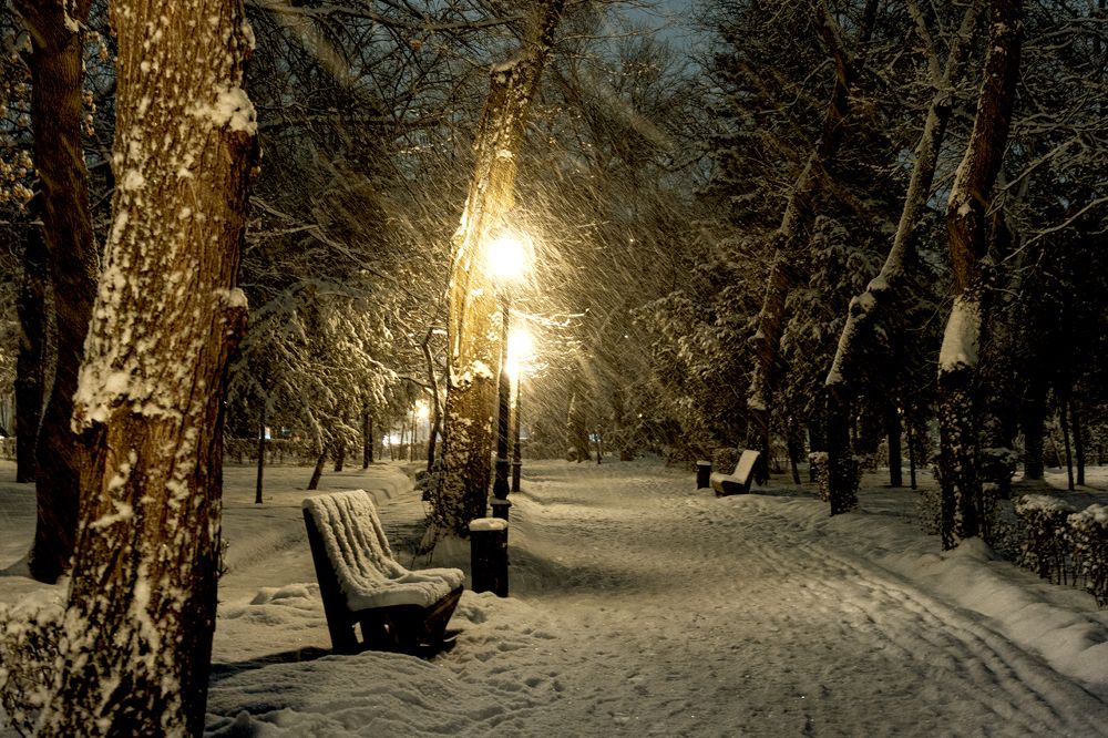 Photograph by Karpenko Denis