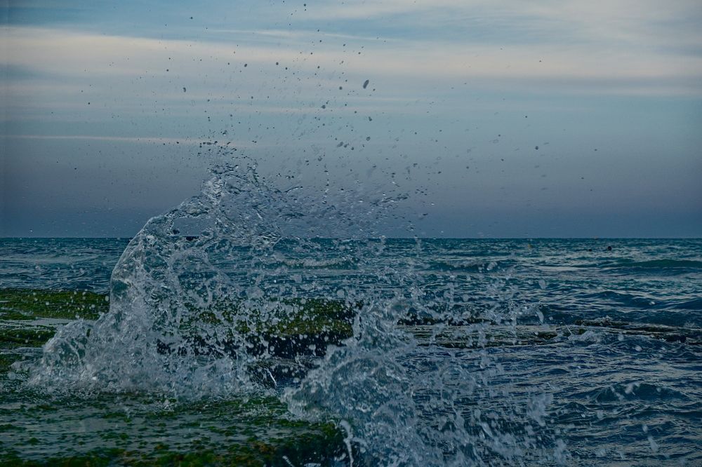 Photograph by Viktoria Vavilkina